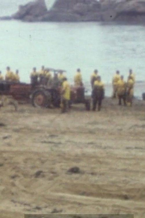 Collection série noire : Tome 4 Poster