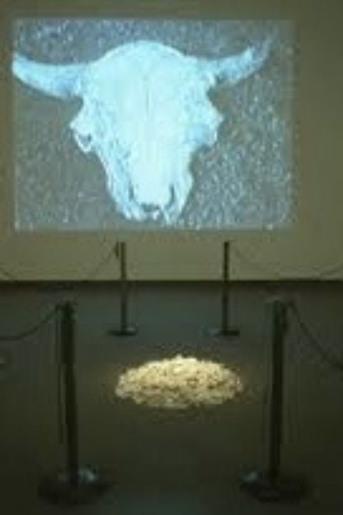 Buffalo Bone China Poster