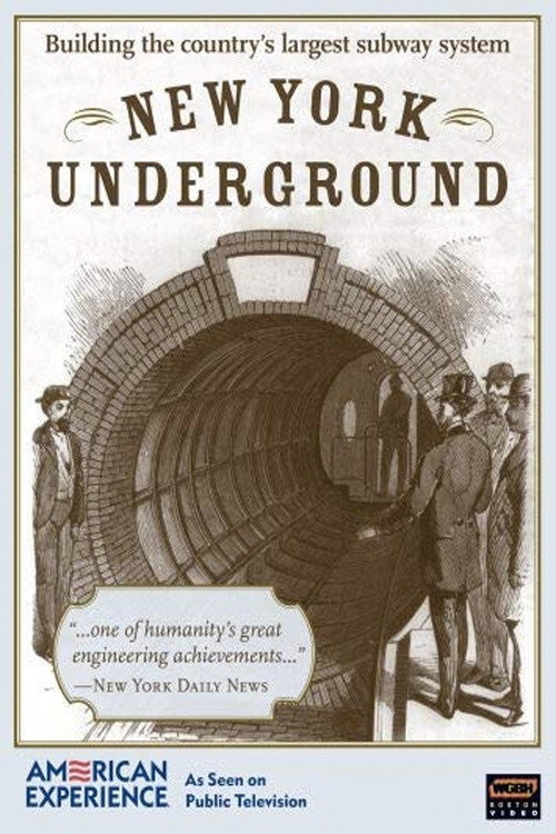New York Underground Poster