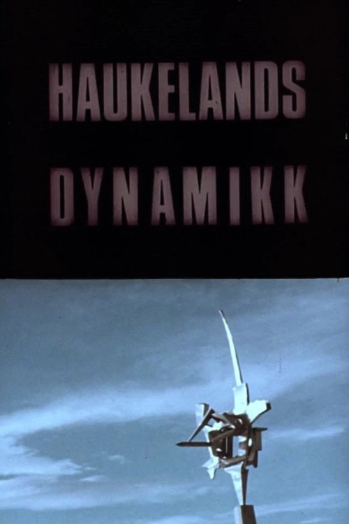 Oslofilm: Haukelands dynamikk Poster