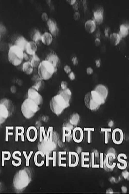 From Pot To Psychedelics Poster