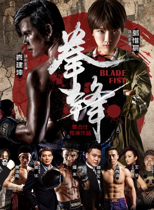 拳锋 Poster