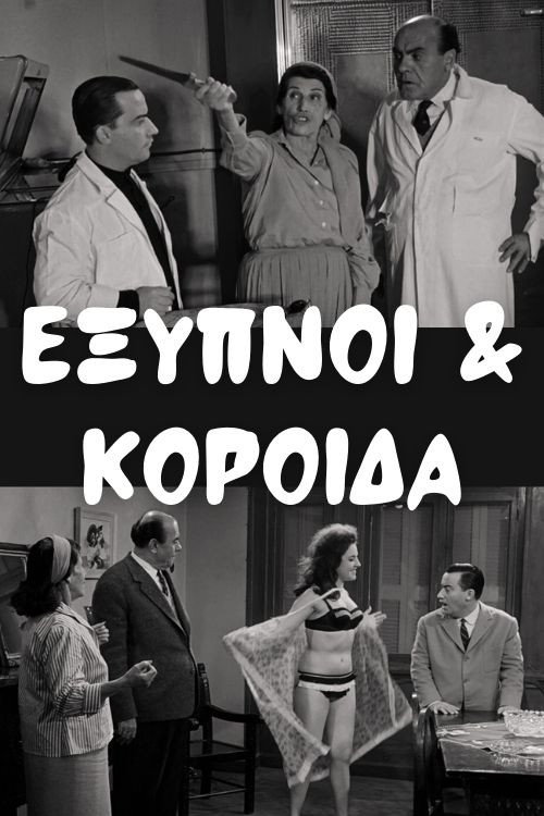 Έξυπνοι και Κορόιδα Poster