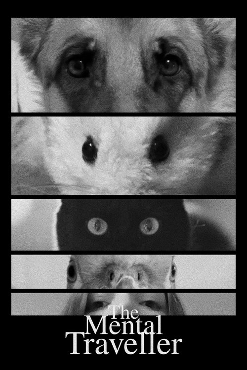 The Mental Traveller Poster