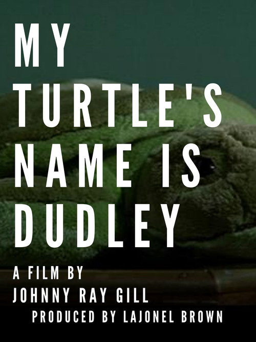 My Turtle's Name Is Dudley Poster