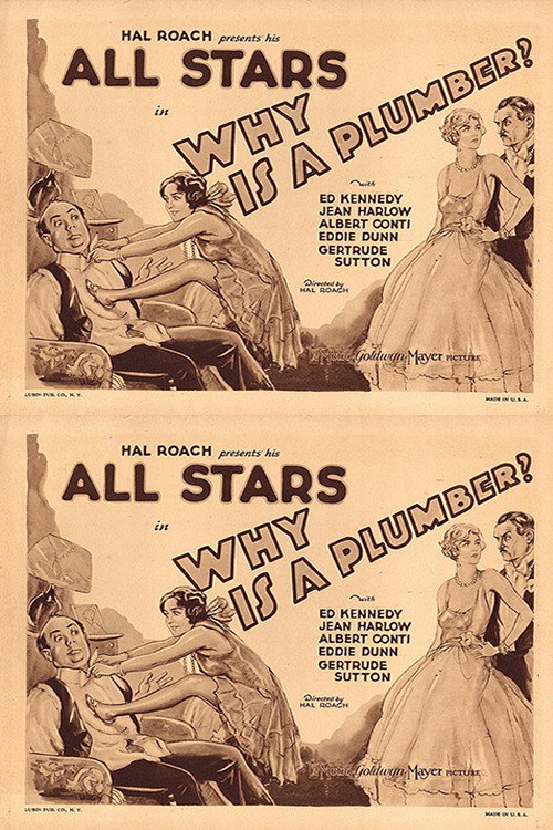 Why Is a Plumber? Poster
