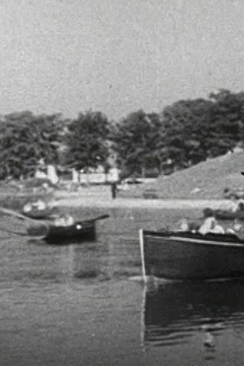 OUR PUBLIC PARKS Poster