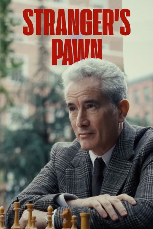 Stranger's Pawn Poster