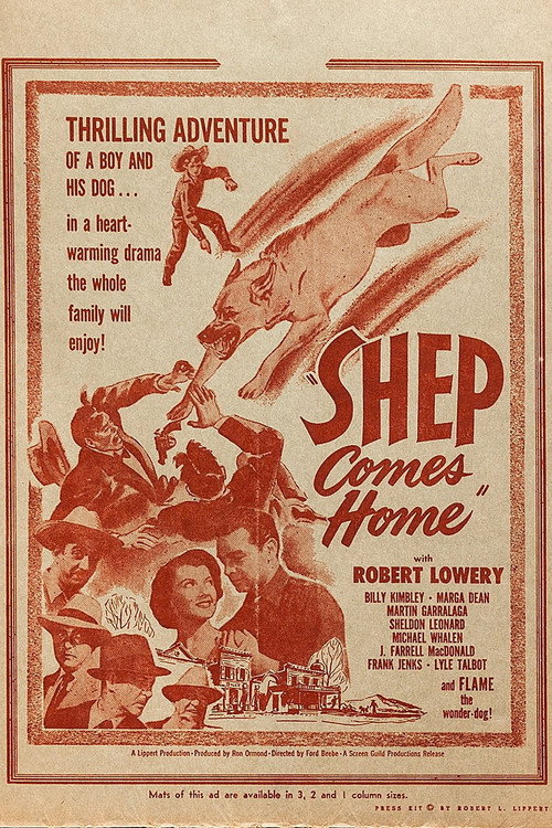 Shep Comes Home Poster