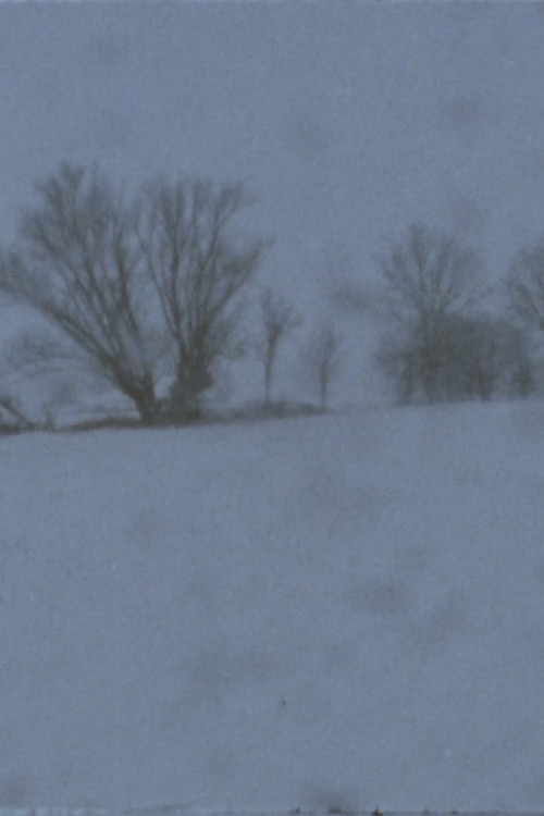 Landscape as Landscape - 21 Poster