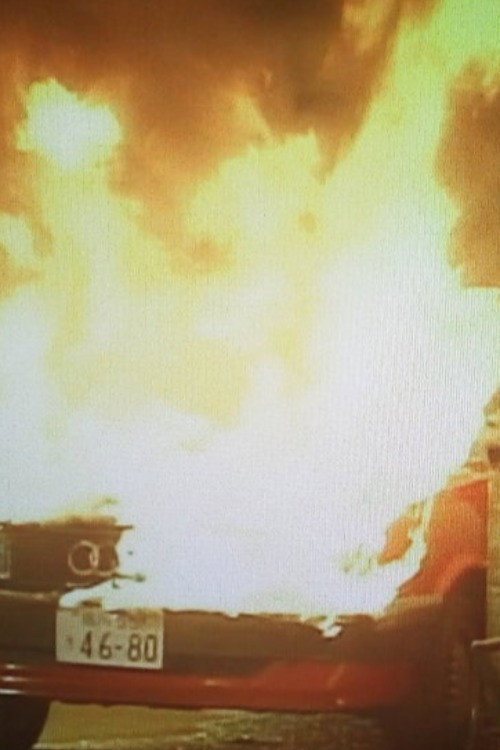 おとり捜査官・北見志穂Ⅱ Poster