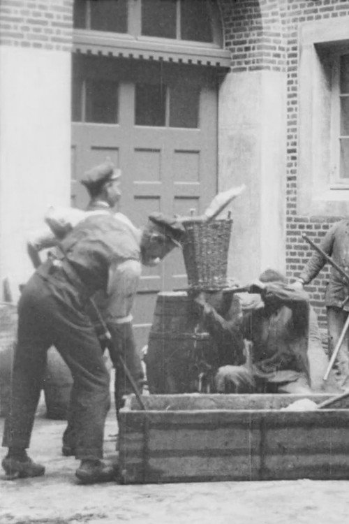 Linotol Comp. Poster