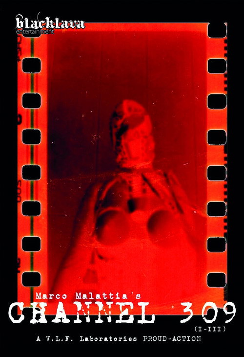 Channel 309 (1-3) Poster