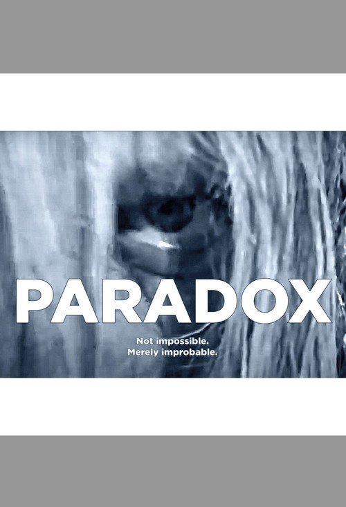 Paradox Poster
