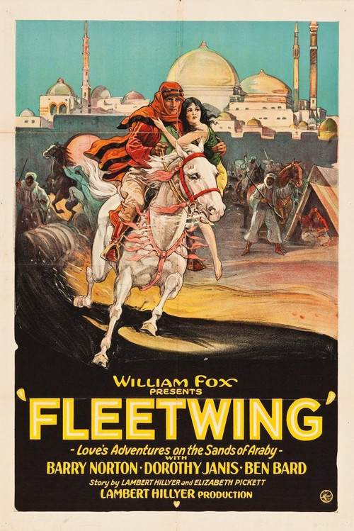 Fleetwing Poster