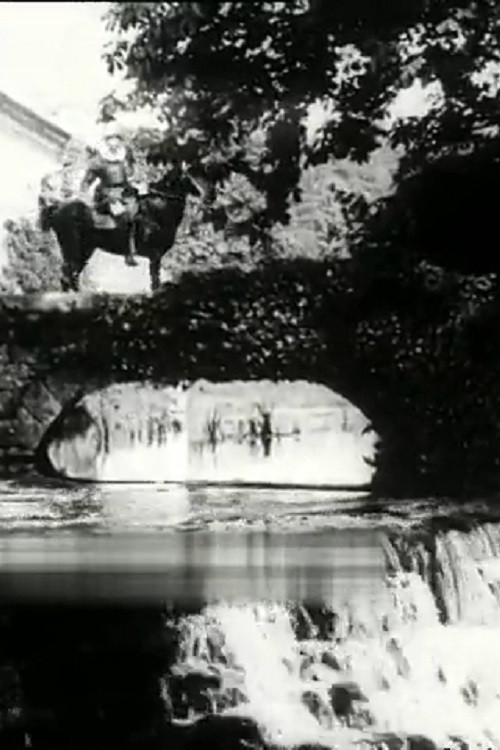 The Béarnaise Girl Poster