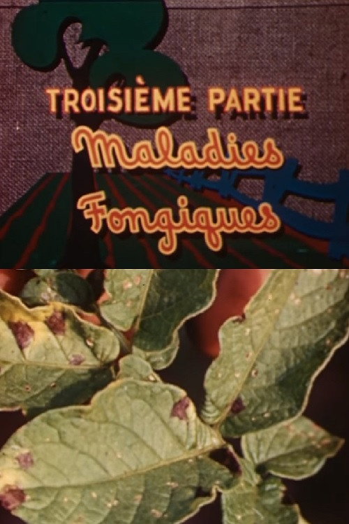 The Enemies of the Potato: Fungal Diseases Poster