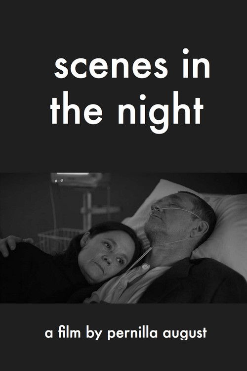 Scenes in the Night Poster