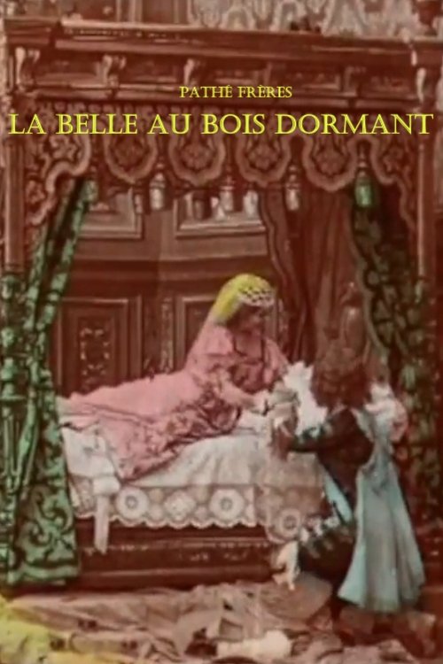 Sleeping Beauty Poster
