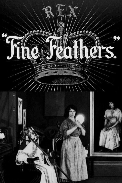 Fine Feathers Poster