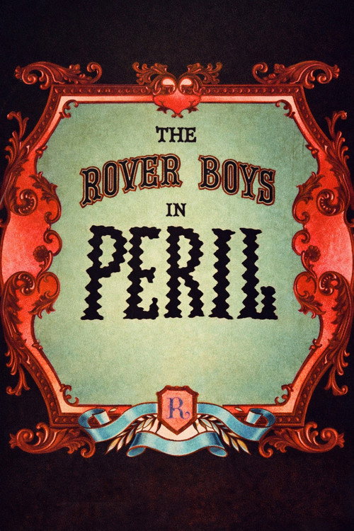 Accidents Resulting from Unfamiliarity in Aircraft, or: The Rover Boys in Peril Poster