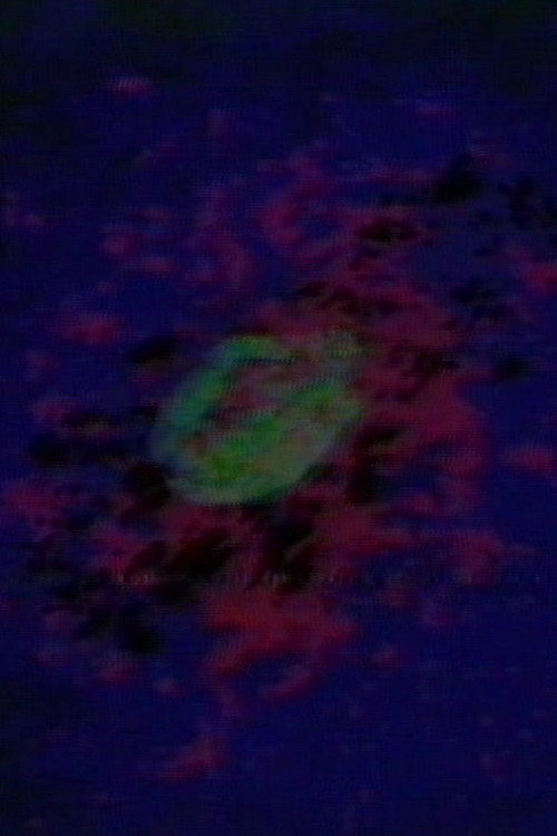 Circling Poster