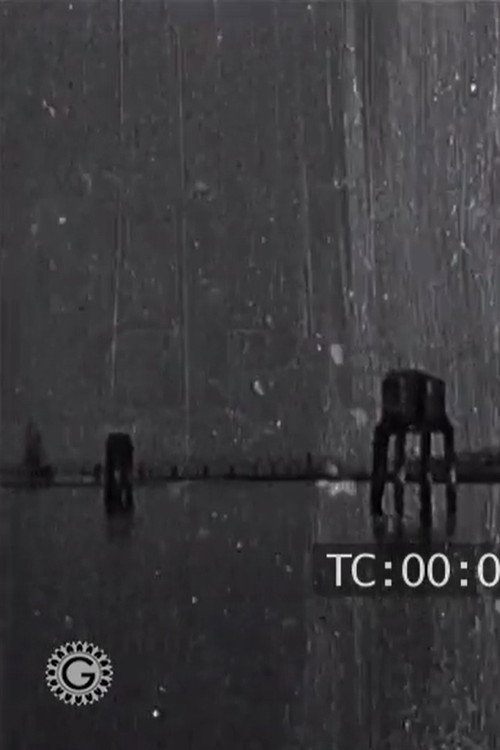 Venise - Promenade en gondole Poster