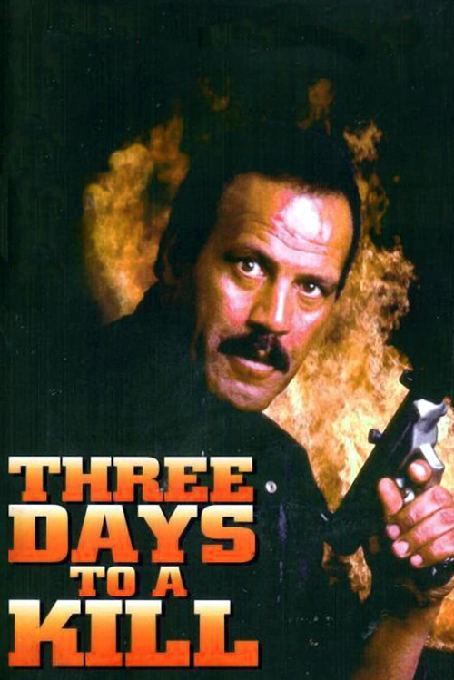 Three Days to a Kill Poster
