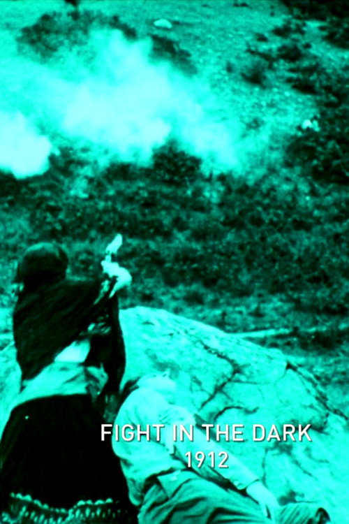 The Fight in the Dark Poster
