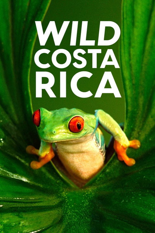 Wild Costa Rica Poster