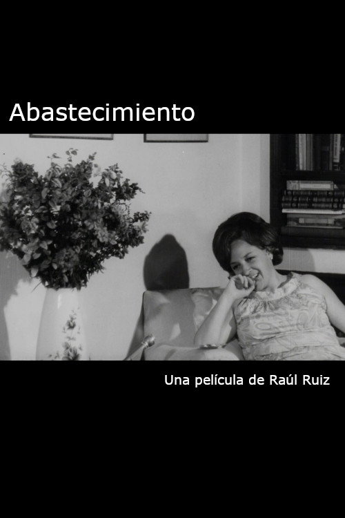 Abastecimiento Poster