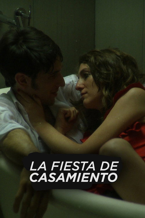 The Wedding Party Poster