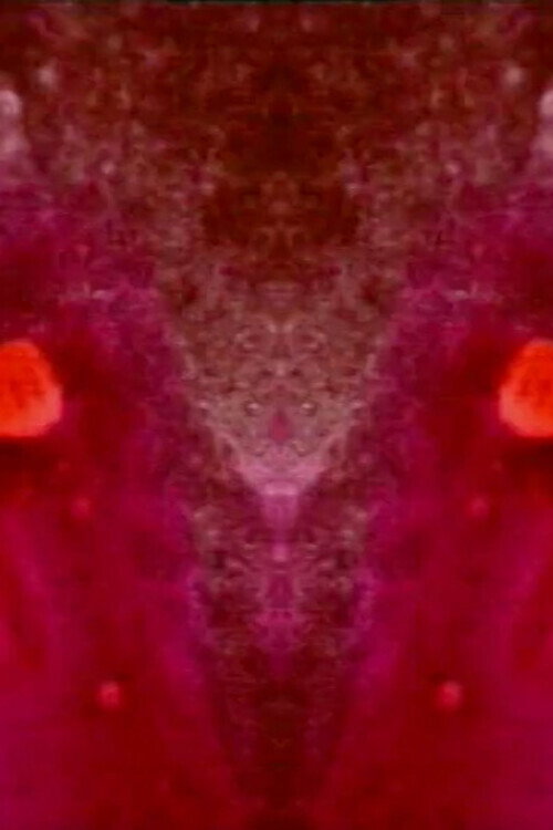 Estudio En Rojo Poster