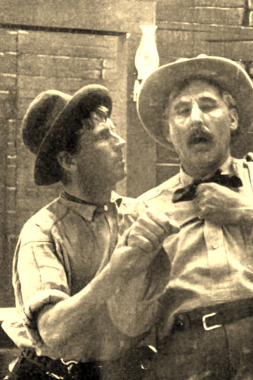 The Stage Driver's Daughter Poster