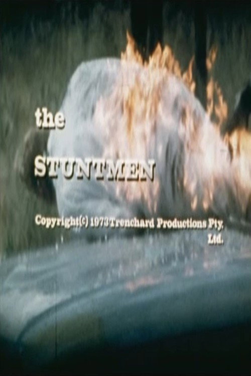 The Stuntmen Poster