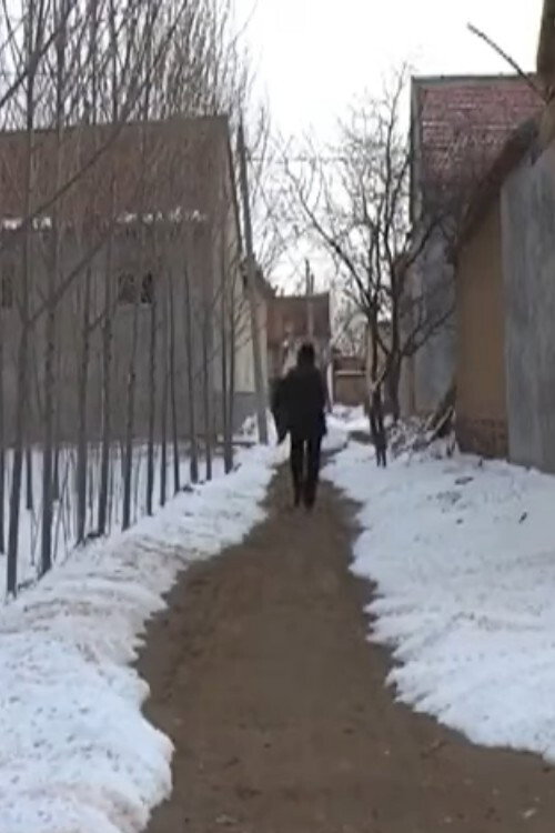 The Starving Village Poster