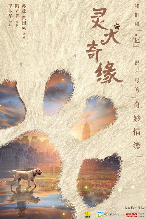 灵犬奇缘 Poster