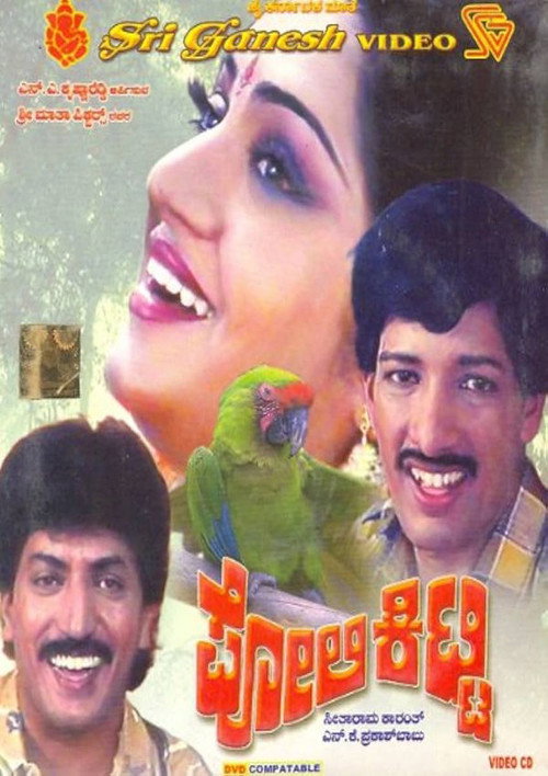 Poli Kitty Poster