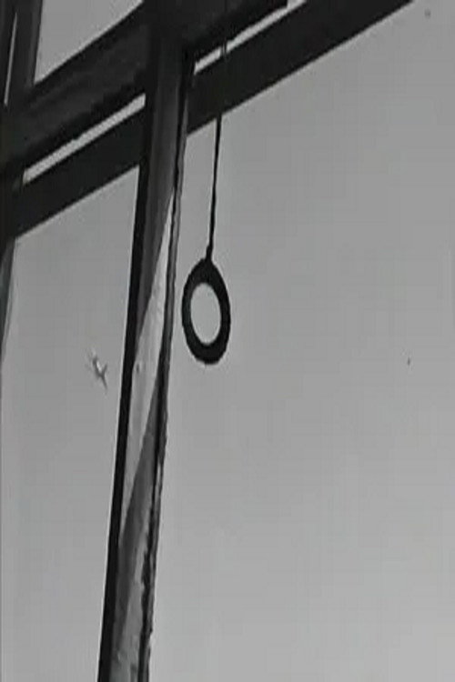 Célébrations Poster