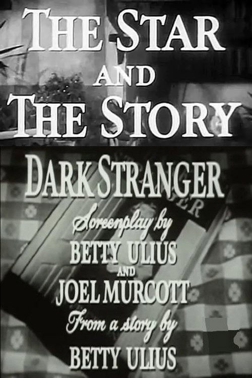 The Star and the Story: Dark Stranger Poster