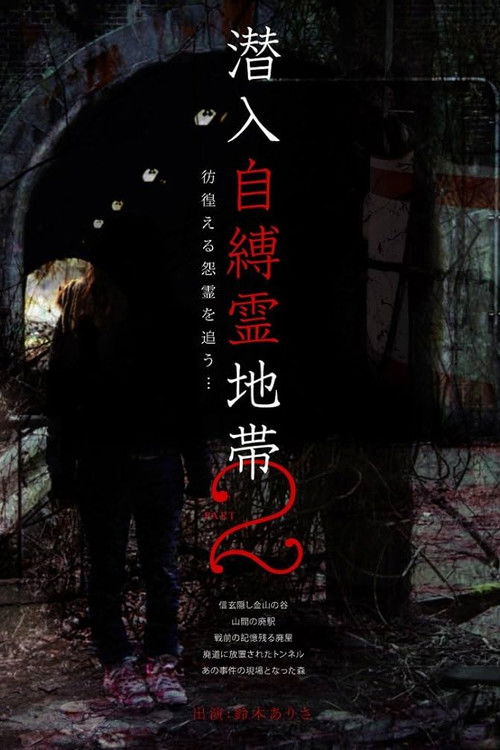 Infiltration: The Haunted Zone 2 - Chasing Wandering Resentful Spirits... Poster