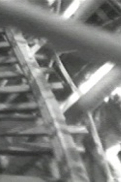 Four Motion Studies Poster