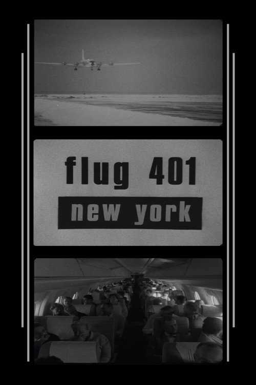 Flight 401 to New York Poster