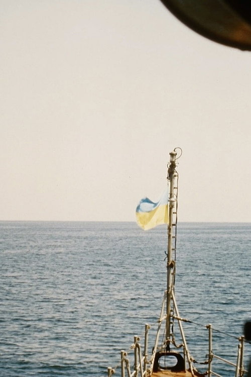 Ukrainian Navy Poster