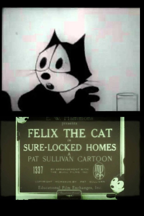 Sure-Locked Homes Poster