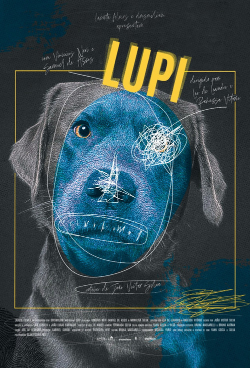 LUPI Poster