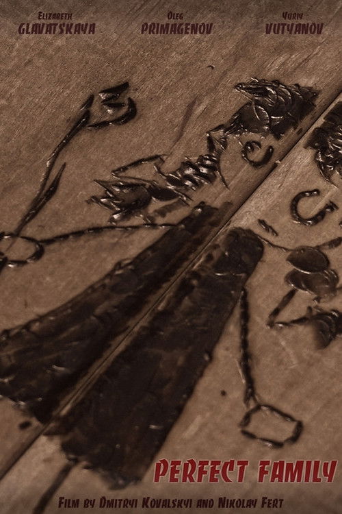 Perfect Family Poster