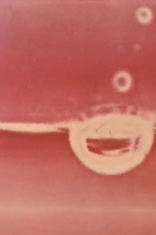 Sphere:Circle:Round Poster