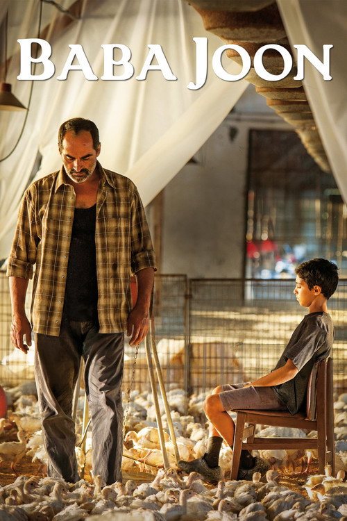 Baba Joon Poster