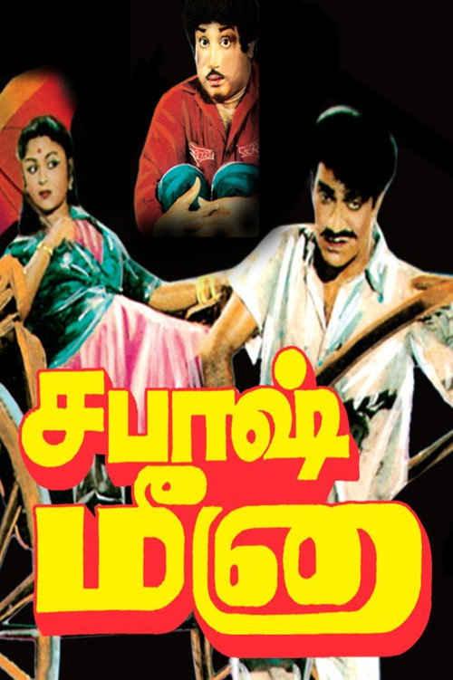 Sabaash Meena Poster